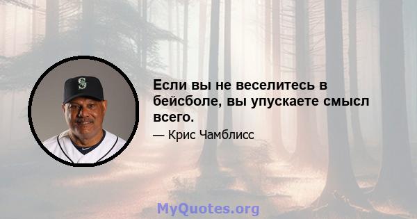 Если вы не веселитесь в бейсболе, вы упускаете смысл всего.