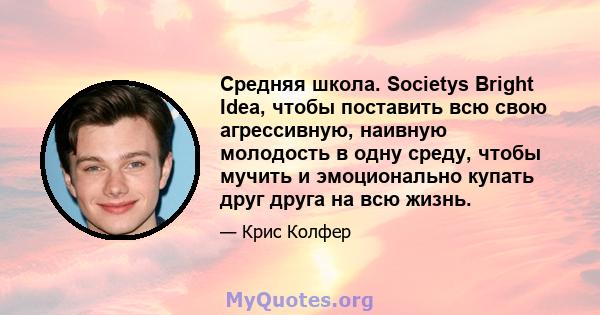 Средняя школа. Societys Bright Idea, чтобы поставить всю свою агрессивную, наивную молодость в одну среду, чтобы мучить и эмоционально купать друг друга на всю жизнь.