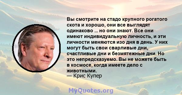 Вы смотрите на стадо крупного рогатого скота и хорошо, они все выглядят одинаково ... но они знают. Все они имеют индивидуальную личность, и эти личности меняются изо дня в день. У них могут быть свои сварливые дни,