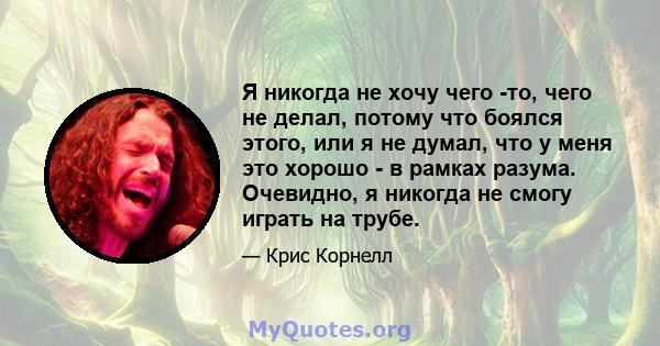 Я никогда не хочу чего -то, чего не делал, потому что боялся этого, или я не думал, что у меня это хорошо - в рамках разума. Очевидно, я никогда не смогу играть на трубе.