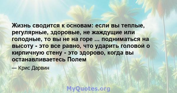 Жизнь сводится к основам: если вы теплые, регулярные, здоровые, не жаждущие или голодные, то вы не на горе ... подниматься на высоту - это все равно, что ударить головой о кирпичную стену - это здорово, когда вы