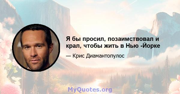 Я бы просил, позаимствовал и крал, чтобы жить в Нью -Йорке