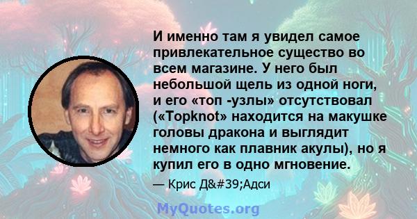 И именно там я увидел самое привлекательное существо во всем магазине. У него был небольшой щель из одной ноги, и его «топ -узлы» отсутствовал («Topknot» находится на макушке головы дракона и выглядит немного как