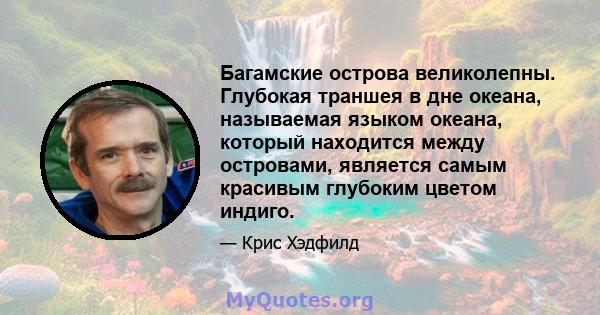 Багамские острова великолепны. Глубокая траншея в дне океана, называемая языком океана, который находится между островами, является самым красивым глубоким цветом индиго.