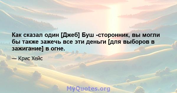 Как сказал один [Джеб] Буш -сторонник, вы могли бы также зажечь все эти деньги [для выборов в зажигание] в огне.