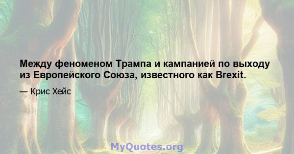 Между феноменом Трампа и кампанией по выходу из Европейского Союза, известного как Brexit.