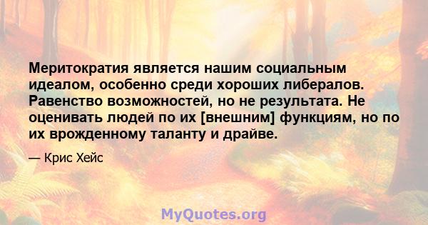 Меритократия является нашим социальным идеалом, особенно среди хороших либералов. Равенство возможностей, но не результата. Не оценивать людей по их [внешним] функциям, но по их врожденному таланту и драйве.