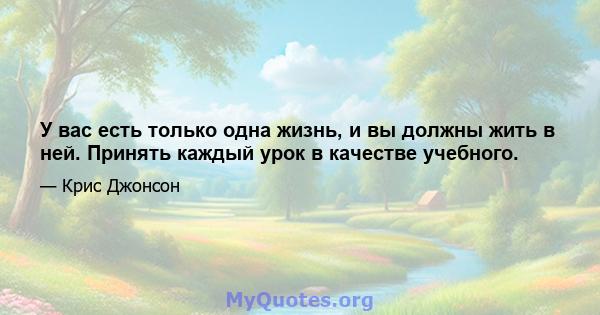 У вас есть только одна жизнь, и вы должны жить в ней. Принять каждый урок в качестве учебного.