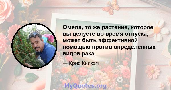 Омела, то же растение, которое вы целуете во время отпуска, может быть эффективной помощью против определенных видов рака.