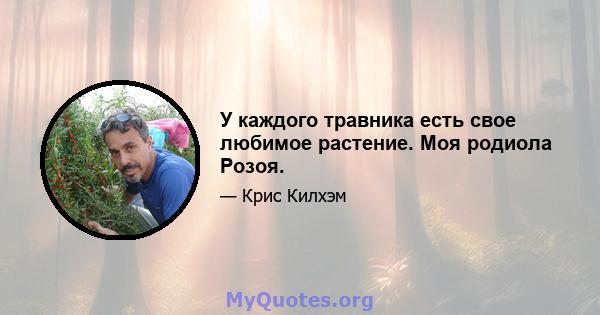 У каждого травника есть свое любимое растение. Моя родиола Розоя.