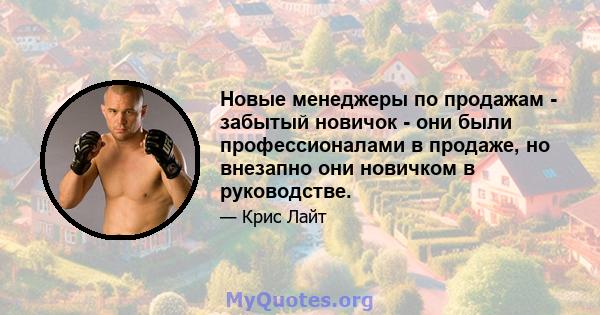 Новые менеджеры по продажам - забытый новичок - они были профессионалами в продаже, но внезапно они новичком в руководстве.