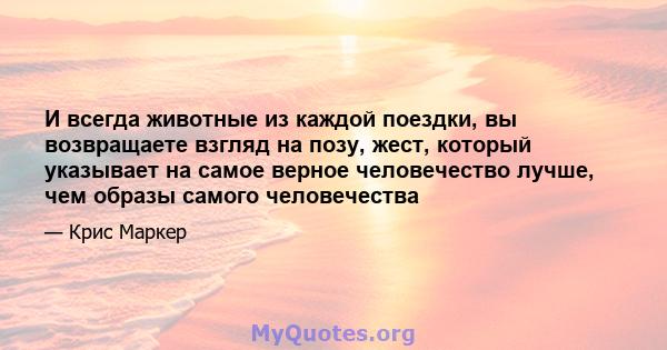 И всегда животные из каждой поездки, вы возвращаете взгляд на позу, жест, который указывает на самое верное человечество лучше, чем образы самого человечества