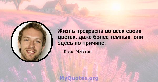 Жизнь прекрасна во всех своих цветах, даже более темных, они здесь по причине.