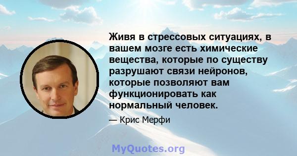 Живя в стрессовых ситуациях, в вашем мозге есть химические вещества, которые по существу разрушают связи нейронов, которые позволяют вам функционировать как нормальный человек.