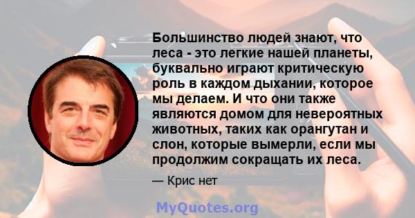 Большинство людей знают, что леса - это легкие нашей планеты, буквально играют критическую роль в каждом дыхании, которое мы делаем. И что они также являются домом для невероятных животных, таких как орангутан и слон,