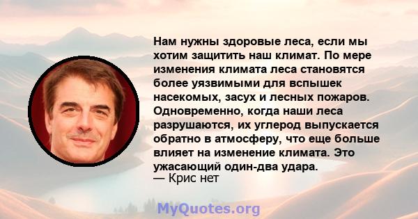 Нам нужны здоровые леса, если мы хотим защитить наш климат. По мере изменения климата леса становятся более уязвимыми для вспышек насекомых, засух и лесных пожаров. Одновременно, когда наши леса разрушаются, их углерод