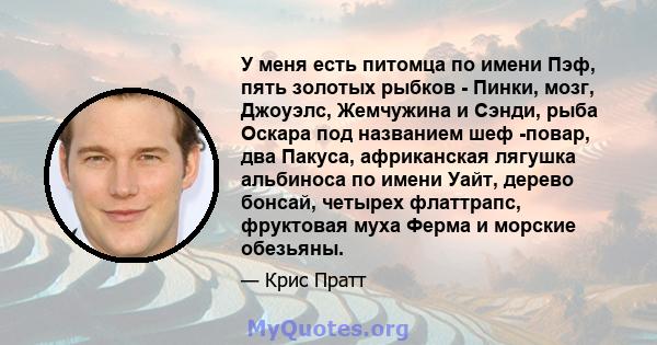 У меня есть питомца по имени Пэф, пять золотых рыбков - Пинки, мозг, Джоуэлс, Жемчужина и Сэнди, рыба Оскара под названием шеф -повар, два Пакуса, африканская лягушка альбиноса по имени Уайт, дерево бонсай, четырех