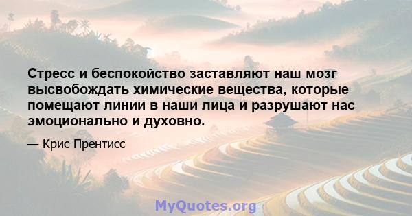 Стресс и беспокойство заставляют наш мозг высвобождать химические вещества, которые помещают линии в наши лица и разрушают нас эмоционально и духовно.