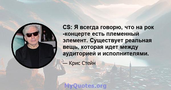 CS: Я всегда говорю, что на рок -концерте есть племенный элемент. Существует реальная вещь, которая идет между аудиторией и исполнителями.