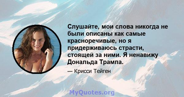 Слушайте, мои слова никогда не были описаны как самые красноречивые, но я придерживаюсь страсти, стоящей за ними. Я ненавижу Дональда Трампа.