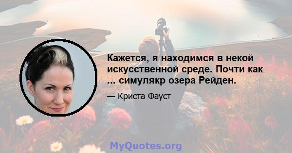 Кажется, я находимся в некой искусственной среде. Почти как ... симулякр озера Рейден.