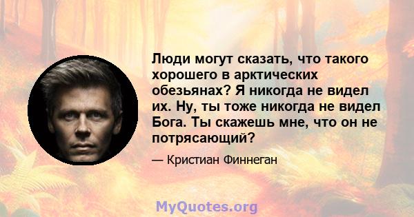 Люди могут сказать, что такого хорошего в арктических обезьянах? Я никогда не видел их. Ну, ты тоже никогда не видел Бога. Ты скажешь мне, что он не потрясающий?