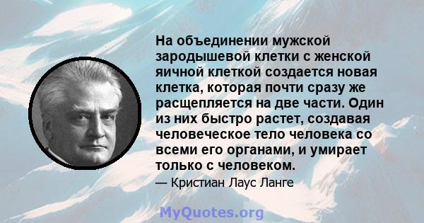 На объединении мужской зародышевой клетки с женской яичной клеткой создается новая клетка, которая почти сразу же расщепляется на две части. Один из них быстро растет, создавая человеческое тело человека со всеми его