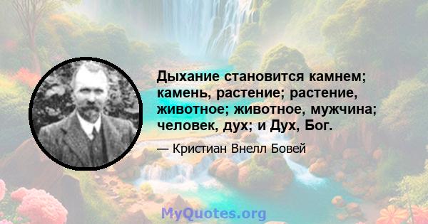 Дыхание становится камнем; камень, растение; растение, животное; животное, мужчина; человек, дух; и Дух, Бог.