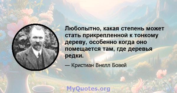 Любопытно, какая степень может стать прикрепленной к тонкому дереву, особенно когда оно помещается там, где деревья редки.