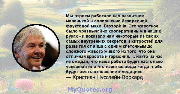 Мы втроем работали над развитием маленькой и совершенно безвредной фруктовой мухи, Drosophila. Это животное было чрезвычайно кооперативным в наших руках - и показало нам некоторые из своих самых внутренних секретов и