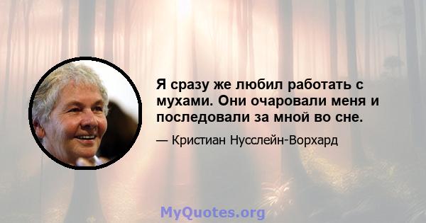 Я сразу же любил работать с мухами. Они очаровали меня и последовали за мной во сне.