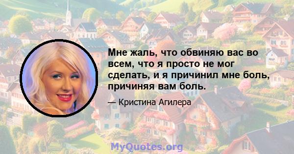 Мне жаль, что обвиняю вас во всем, что я просто не мог сделать, и я причинил мне боль, причиняя вам боль.