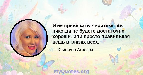 Я не привыкать к критике. Вы никогда не будете достаточно хороши, или просто правильная вещь в глазах всех.