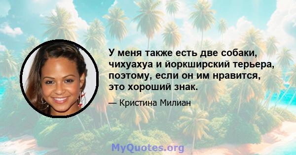 У меня также есть две собаки, чихуахуа и йоркширский терьера, поэтому, если он им нравится, это хороший знак.