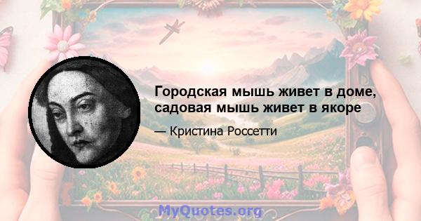 Городская мышь живет в доме, садовая мышь живет в якоре