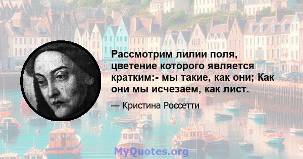 Рассмотрим лилии поля, цветение которого является кратким:- мы такие, как они; Как они мы исчезаем, как лист.