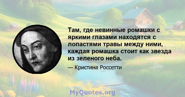 Там, где невинные ромашки с яркими глазами находятся с лопастями травы между ними, каждая ромашка стоит как звезда из зеленого неба.