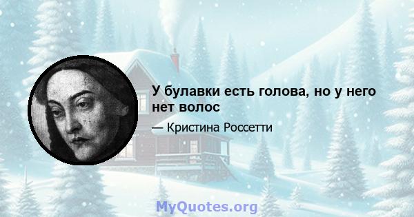 У булавки есть голова, но у него нет волос