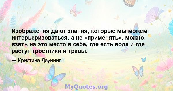 Изображения дают знания, которые мы можем интерьеризоваться, а не «применять», можно взять на это место в себе, где есть вода и где растут тростники и травы.