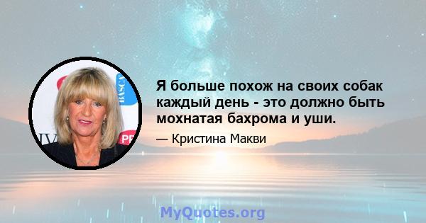 Я больше похож на своих собак каждый день - это должно быть мохнатая бахрома и уши.