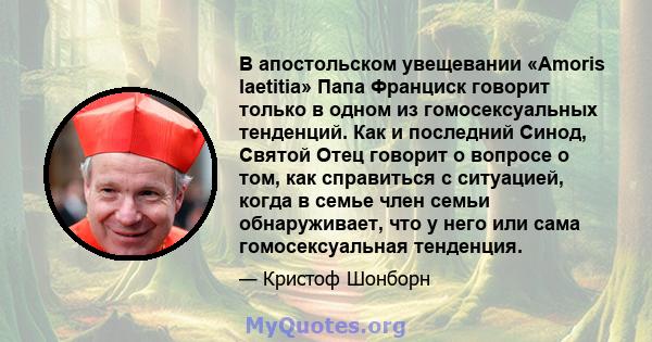 В апостольском увещевании «Amoris laetitia» Папа Франциск говорит только в одном из гомосексуальных тенденций. Как и последний Синод, Святой Отец говорит о вопросе о том, как справиться с ситуацией, когда в семье член