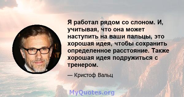 Я работал рядом со слоном. И, учитывая, что она может наступить на ваши пальцы, это хорошая идея, чтобы сохранить определенное расстояние. Также хорошая идея подружиться с тренером.