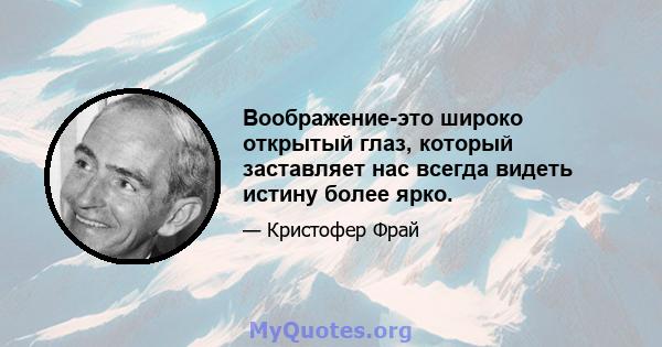 Воображение-это широко открытый глаз, который заставляет нас всегда видеть истину более ярко.