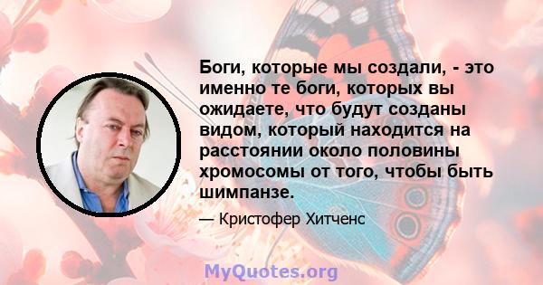 Боги, которые мы создали, - это именно те боги, которых вы ожидаете, что будут созданы видом, который находится на расстоянии около половины хромосомы от того, чтобы быть шимпанзе.