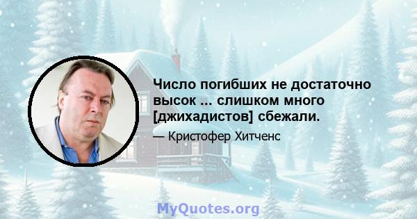 Число погибших не достаточно высок ... слишком много [джихадистов] сбежали.