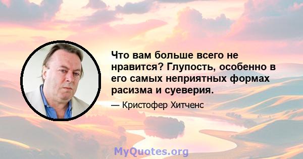 Что вам больше всего не нравится? Глупость, особенно в его самых неприятных формах расизма и суеверия.