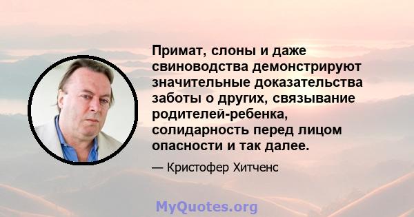 Примат, слоны и даже свиноводства демонстрируют значительные доказательства заботы о других, связывание родителей-ребенка, солидарность перед лицом опасности и так далее.