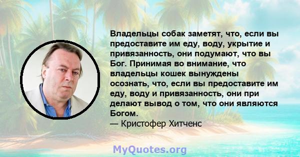 Владельцы собак заметят, что, если вы предоставите им еду, воду, укрытие и привязанность, они подумают, что вы Бог. Принимая во внимание, что владельцы кошек вынуждены осознать, что, если вы предоставите им еду, воду и