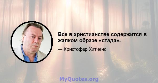 Все в христианстве содержится в жалком образе «стада».