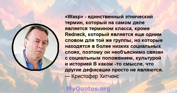 «Wasp» - единственный этнический термин, который на самом деле является термином класса, кроме Redneck, который является еще одним словом для той же группы, но которые находятся в более низких социальных слоях, поэтому